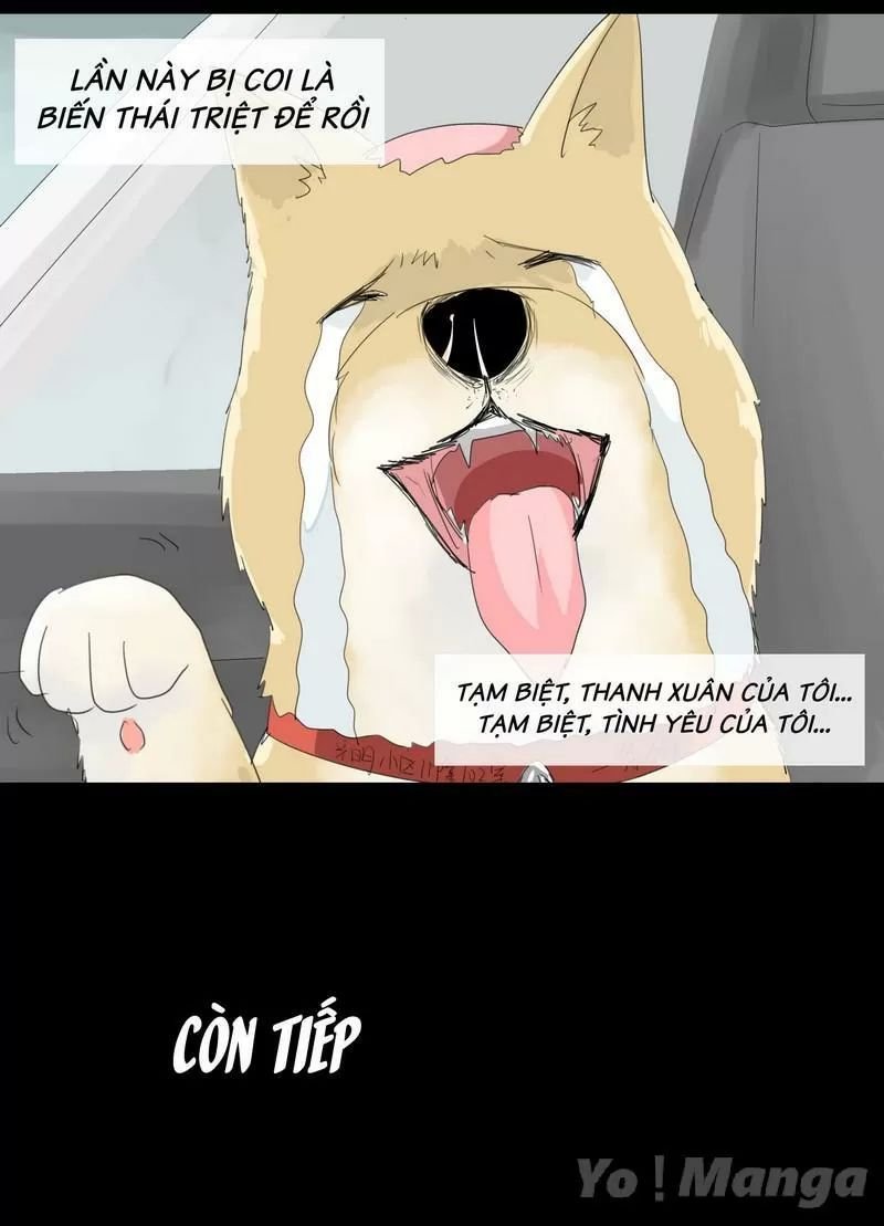 một con chó chapter 20 9