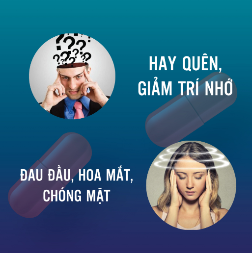 Hỗ trợ hoạt huyết - tăng cường tuần hoàn máu não Ích Trí Hadiphar Hộp 50 viên