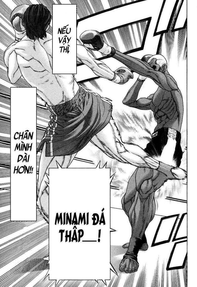 karate shoukoushi kohinata minoru chapter 215 15