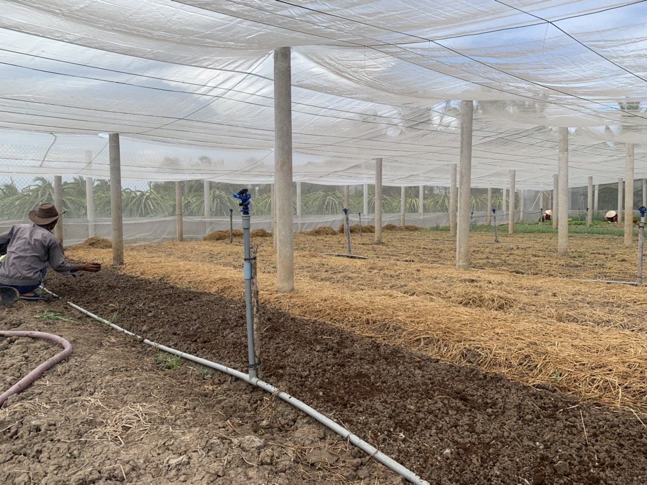 PHÂN TRÙN QUẾ HỮU CƠ NGUYÊN CHẤT HUGOFARM- BAO 10KG