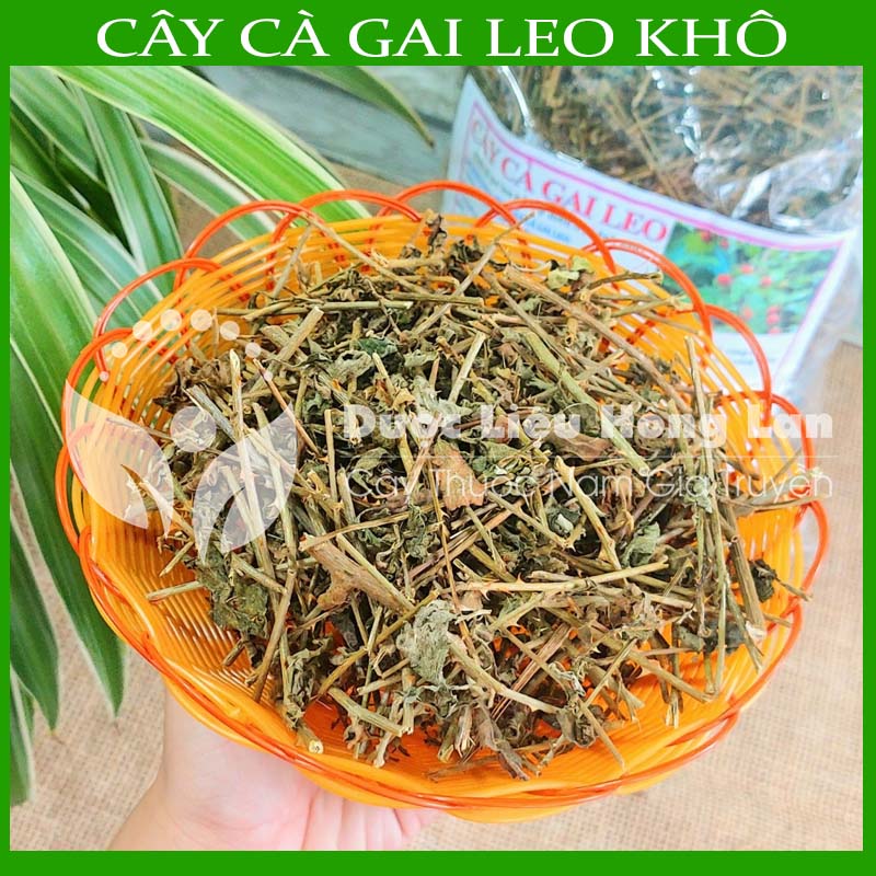 Cây Cà Gai Leo khô loại 1 đóng gói 500g