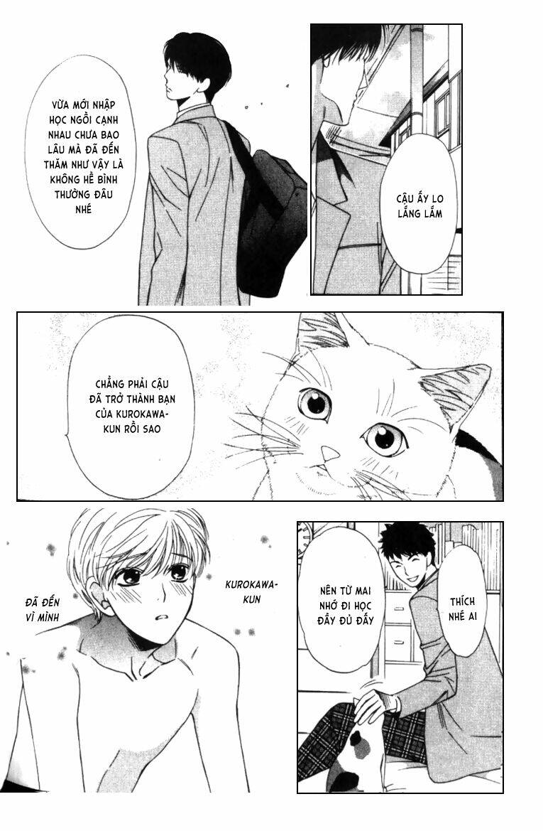 neko neko honey chapter 4 7