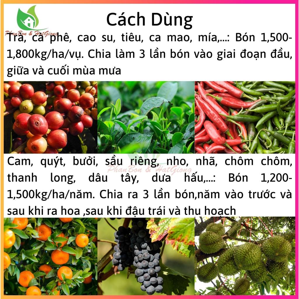 Phân Bón Hữu Cơ Hoa Hồng Phân Bón Hoa Hồng, Cây Cảnh GREEN FARM Gói 1kg - Shop Phân Bón và Hạt Giống