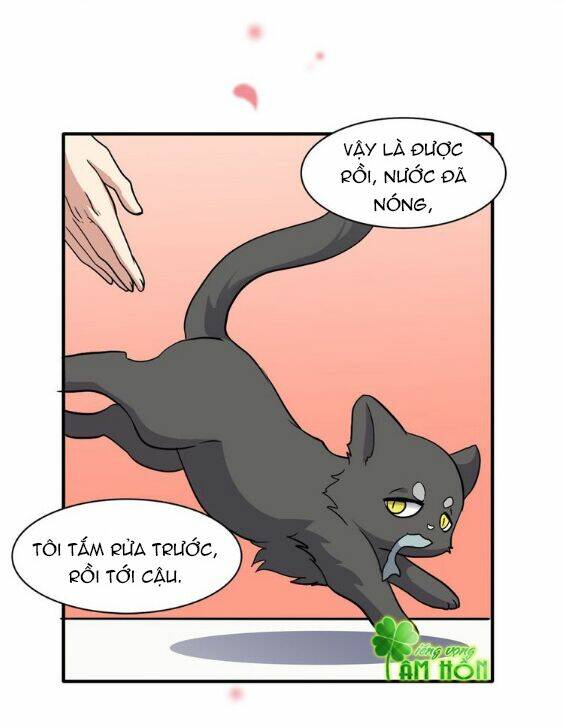 boygroup của ta, thần của ta chapter 5 38