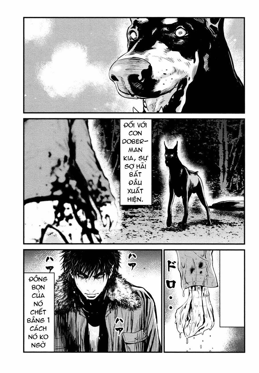 wolf guy - wolfen crest chapter 89 21