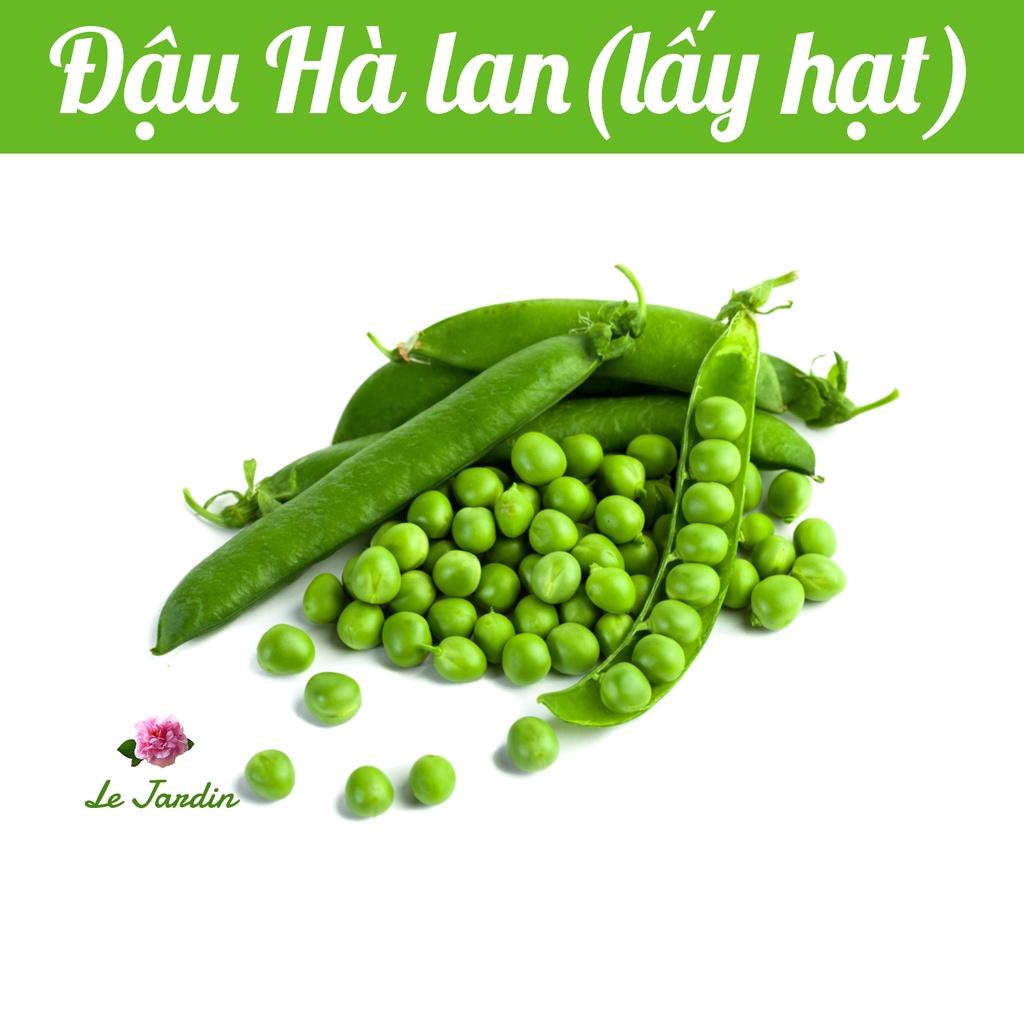 Hạt giống Đậu Hà Lan lấy hạt Rado 681 gói 50gr