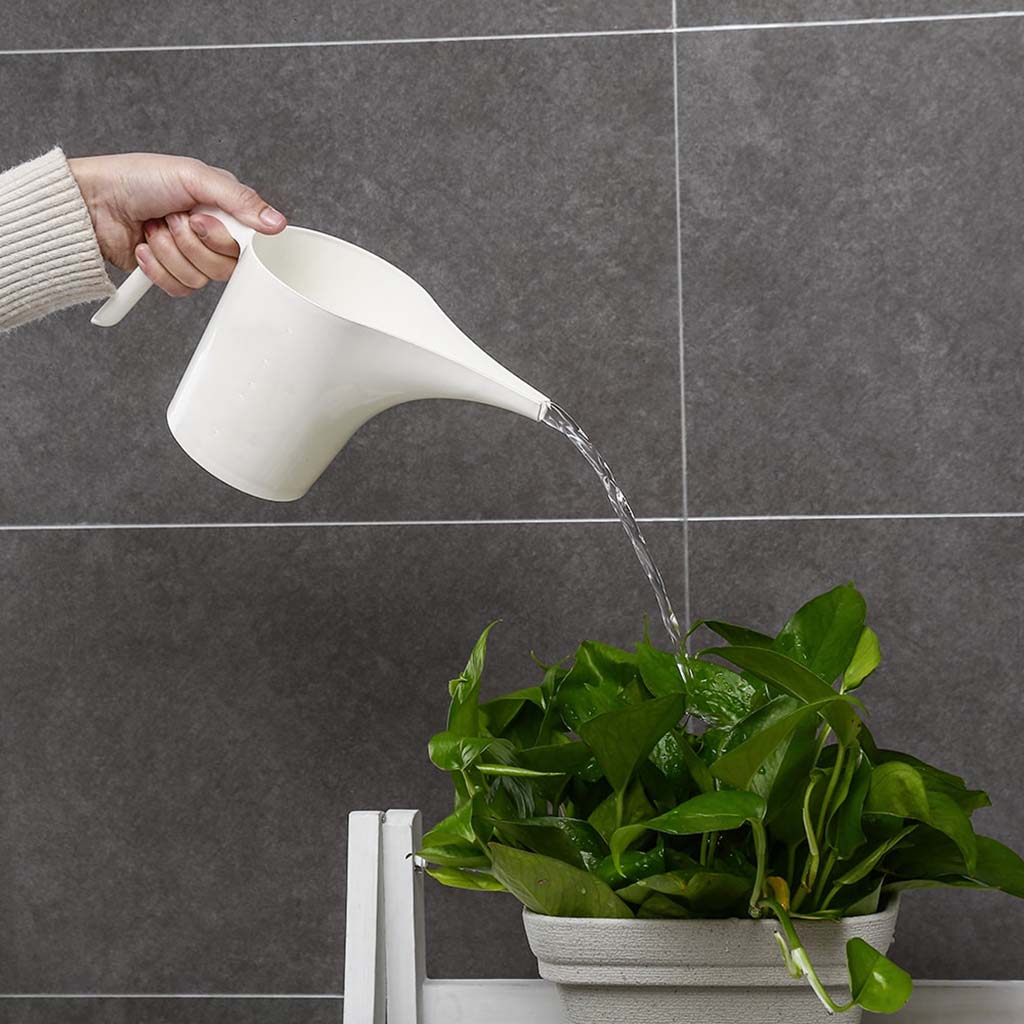 Bình tưới cây 0.6L bằng nhựa nhỏ gọn