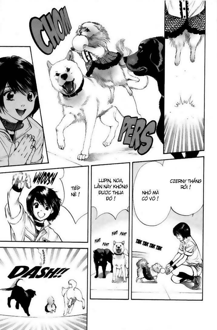 cô nàng yêu chó chapter 22 13