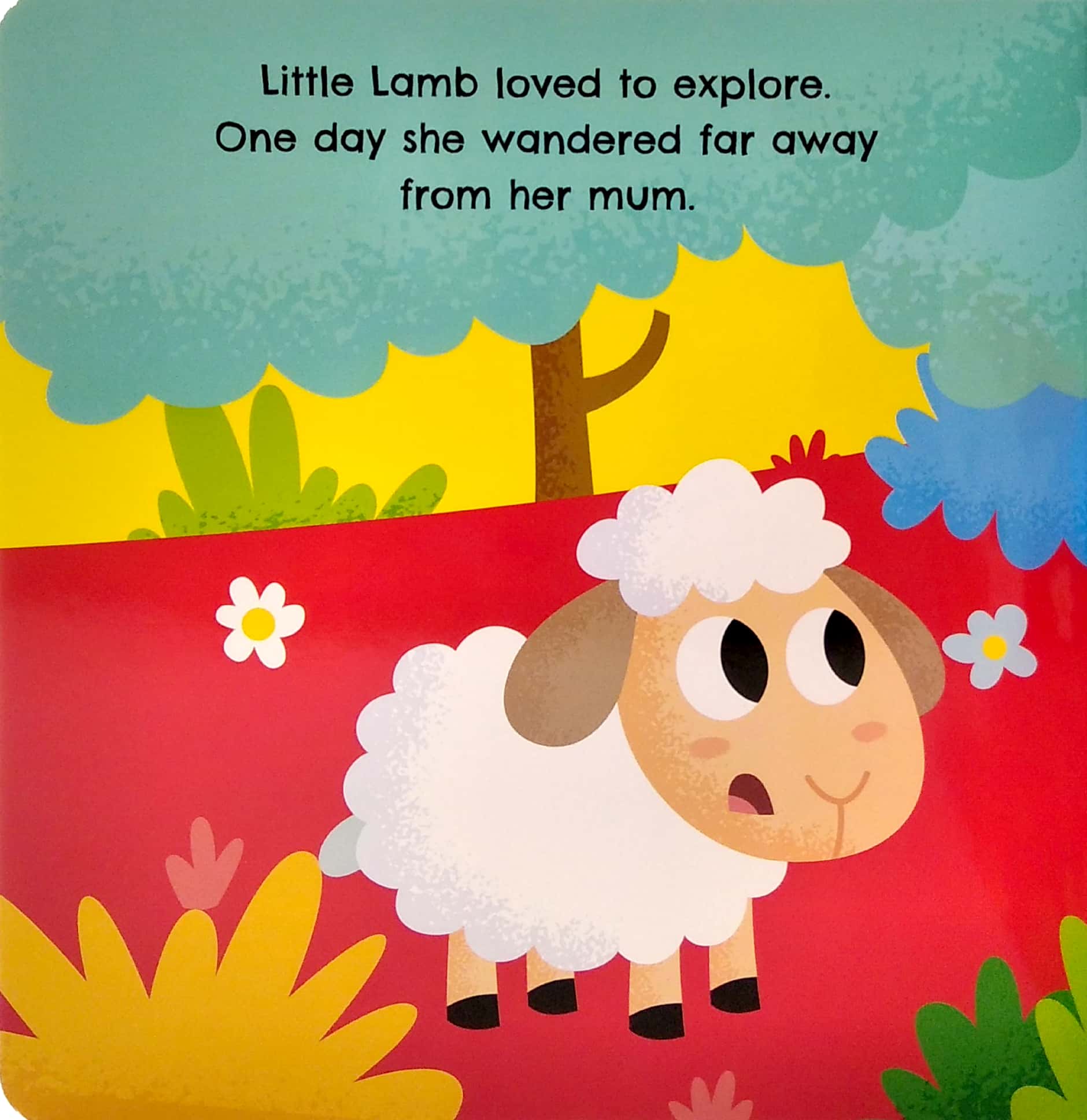 Little Lamb