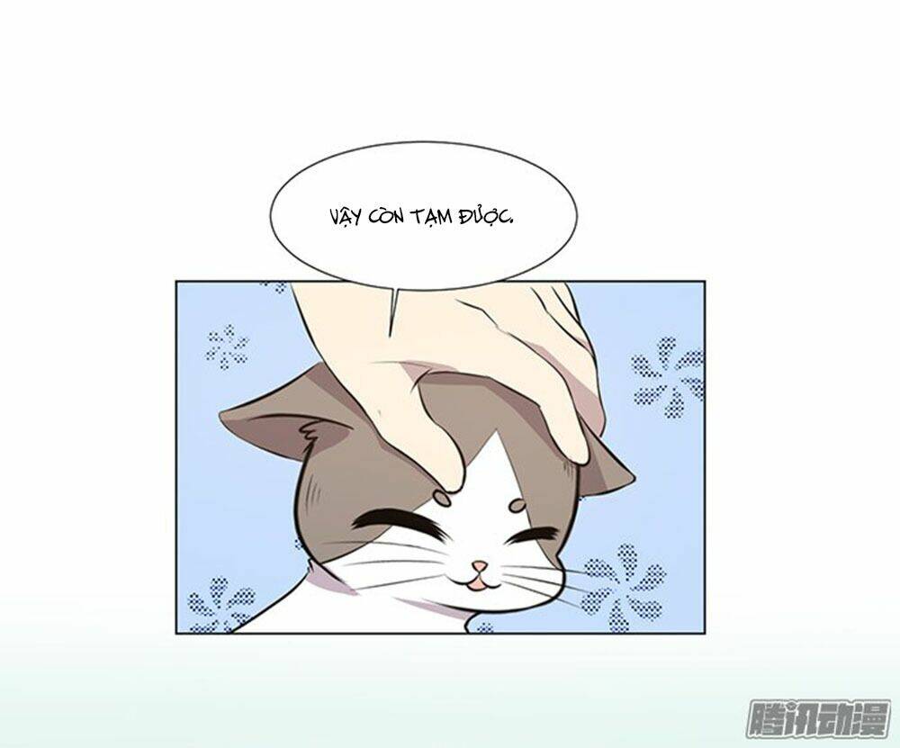 hai chú mèo totem chapter 39 59