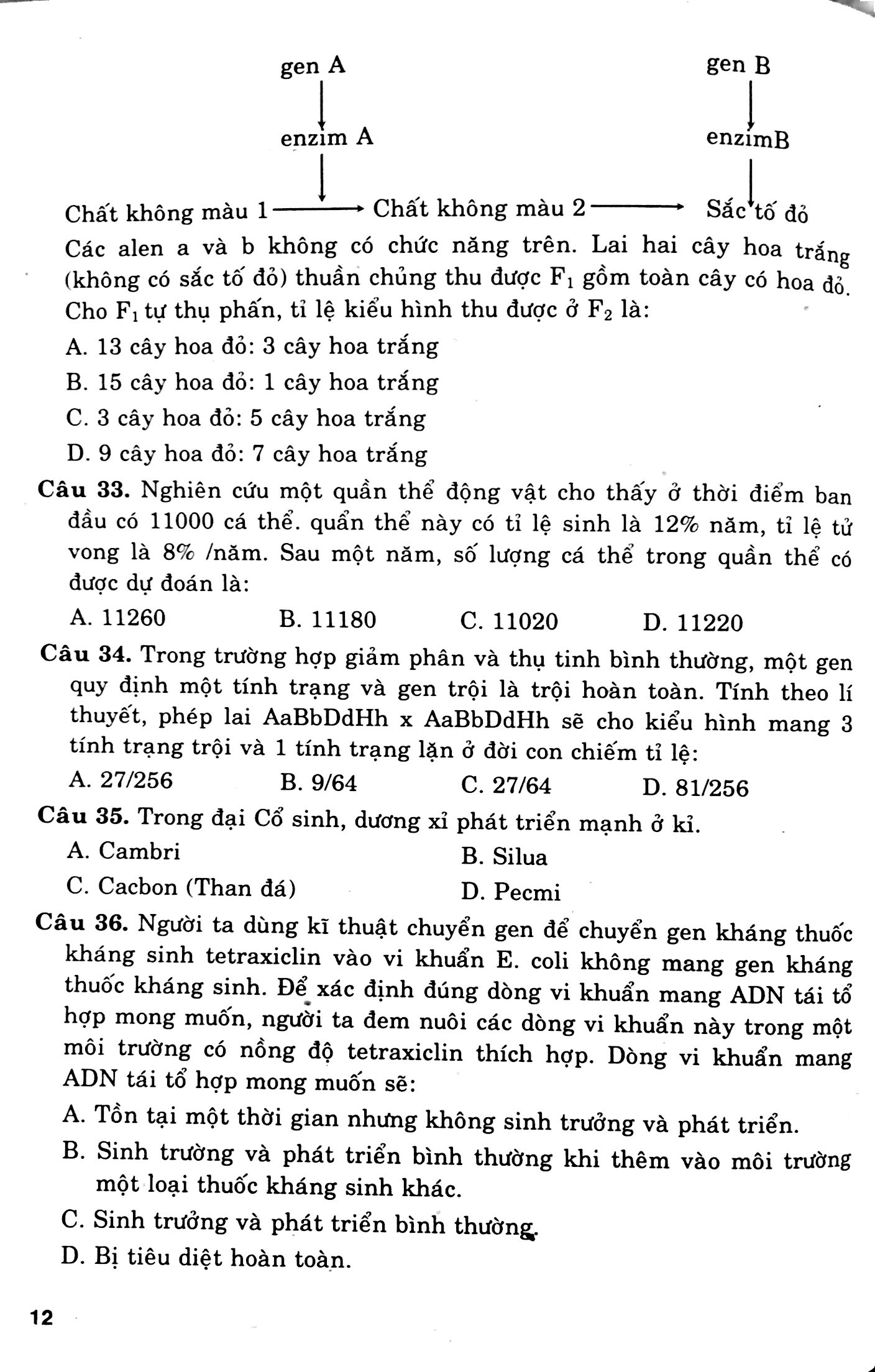 Cấu Trúc Các Dạng Đttn Sinh Học 12