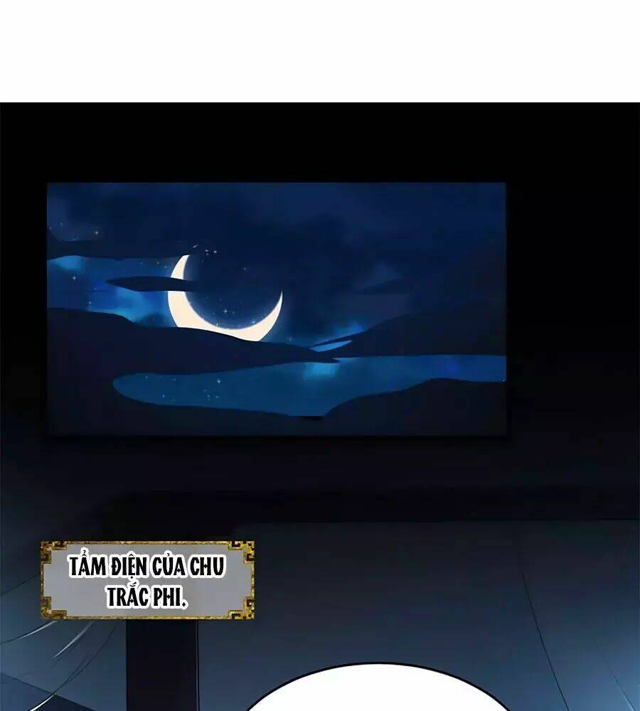 thái tử điện hạ, nô tài có hỉ rồi chapter 24 14