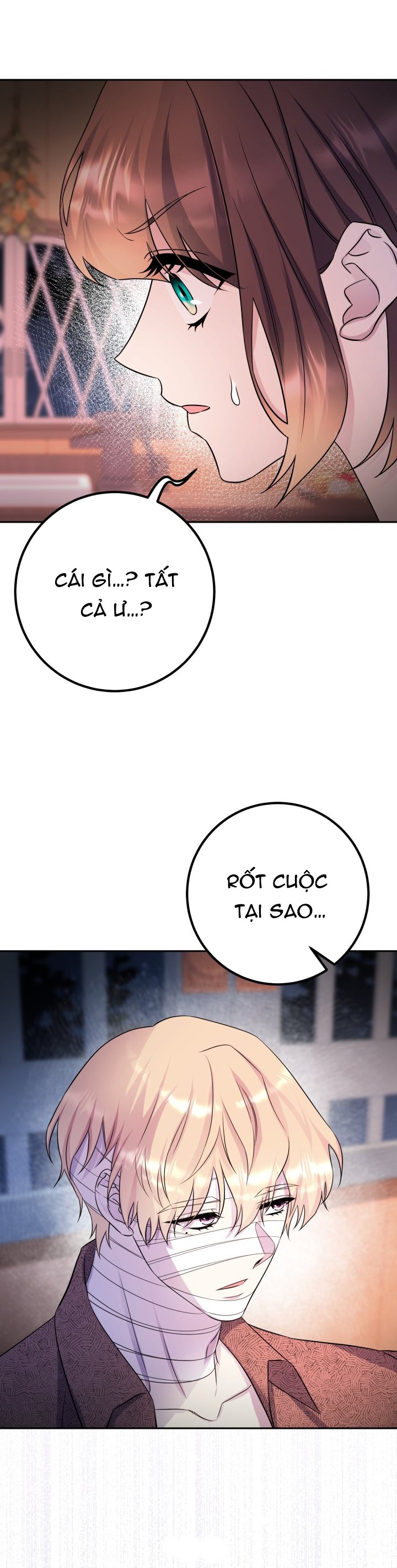 [18+] nếu cứu rỗi một cầm thú hư hỏng chapter 38.1 3