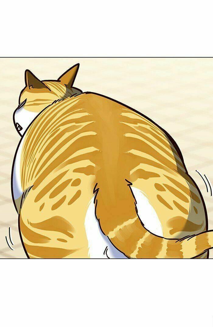 biến thân thành mèo chapter 81 8