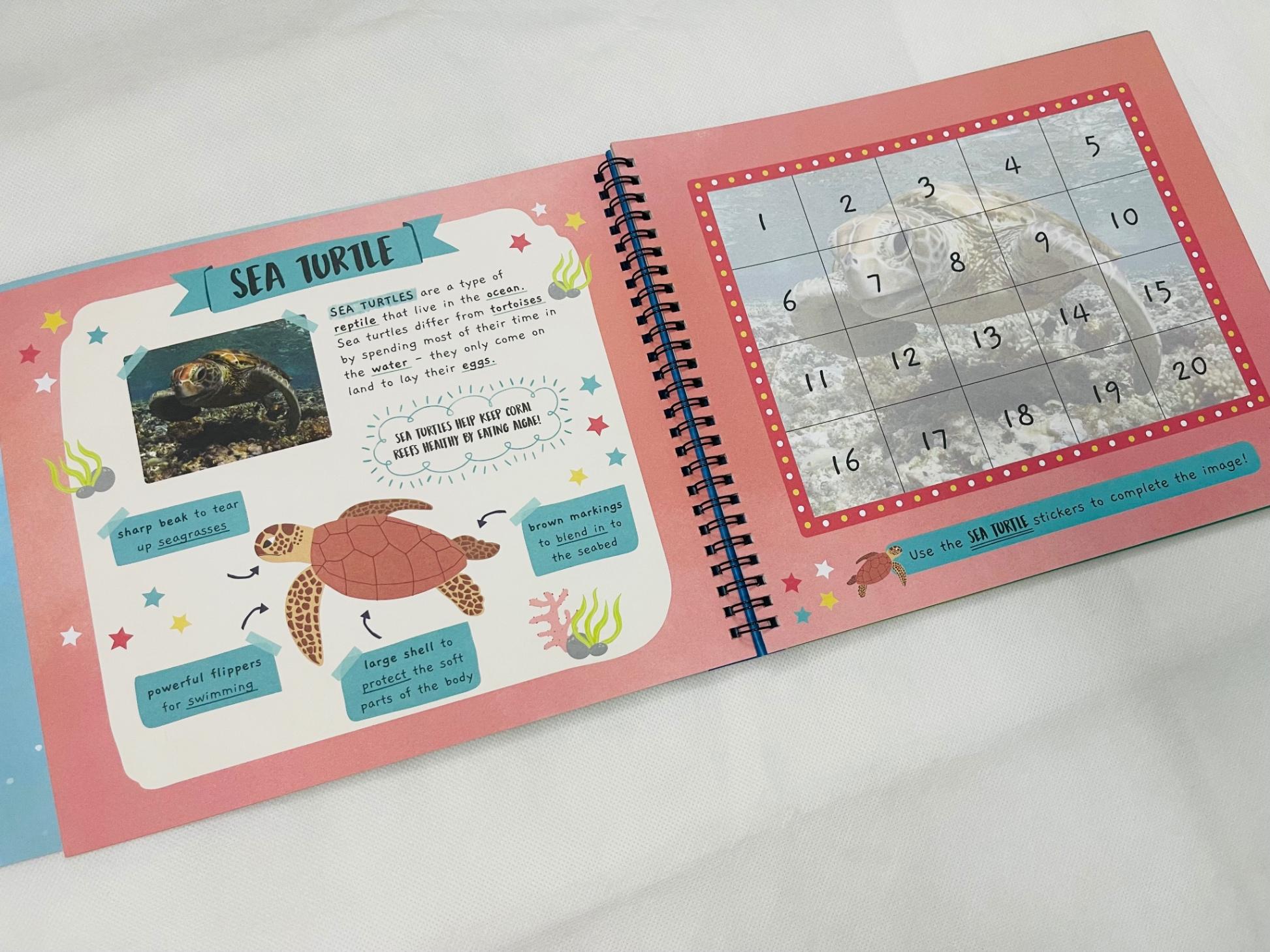Little Wonders Sticker By Number - In The Ocean