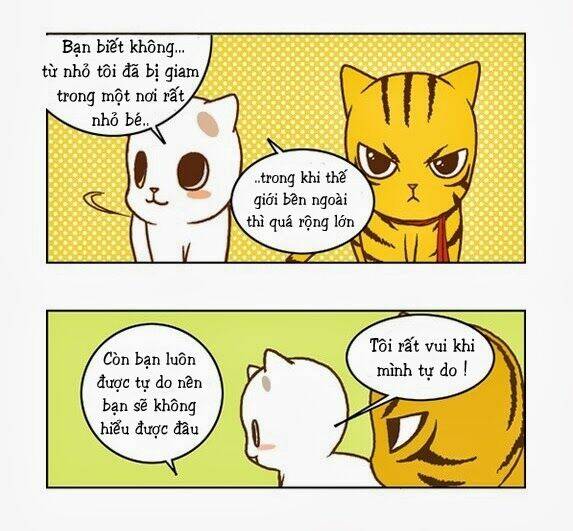 papi nyang chapter 17 14