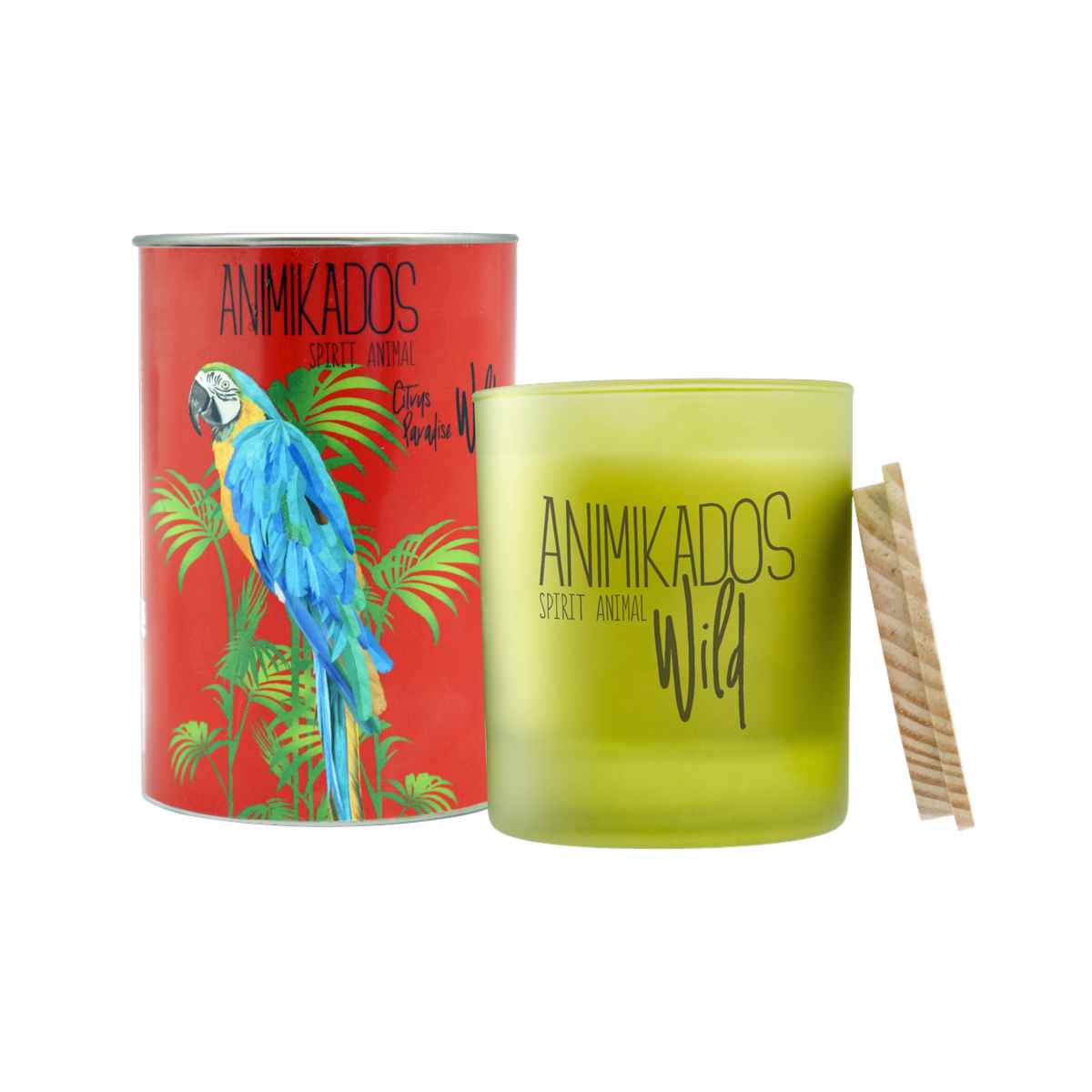 Nến thơm tinh dầu Ambient Parrot mùi Citrus Paradise