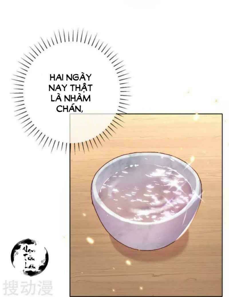 thị huyết y phi chapter 45 31