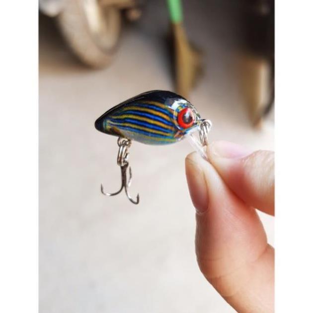 Mồi ruồi 3D - chuyên bắt rô phi,rô ta, chuối, thiểu, ngão,sộp,chim đồ câu FISHING_HD
