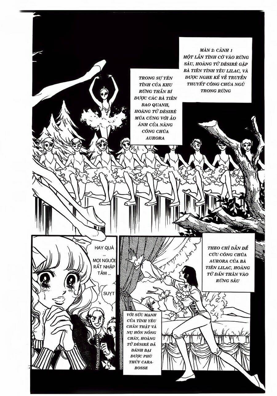 swan - vũ khúc thiên nga chapter 21 15