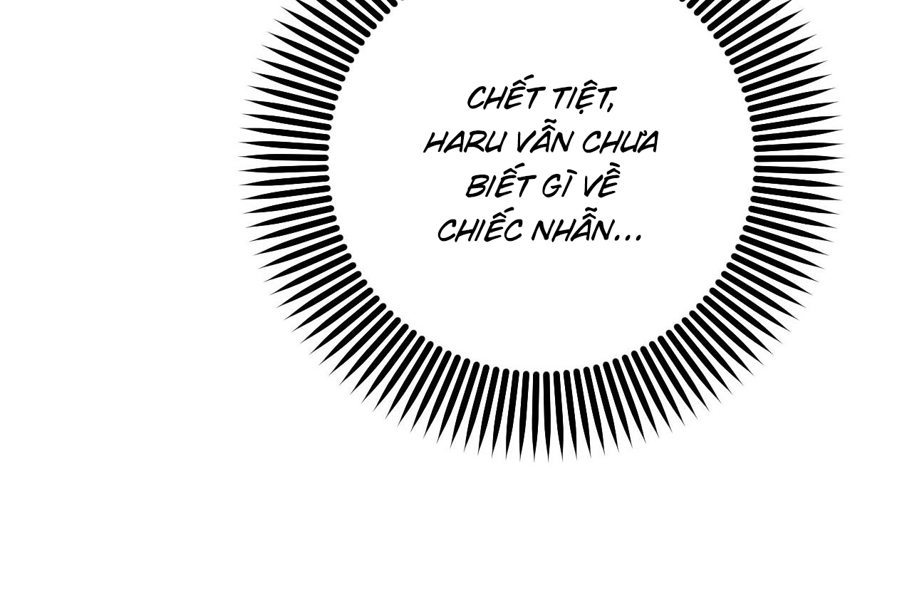 những chú thỏ của hapypy chapter 57 194