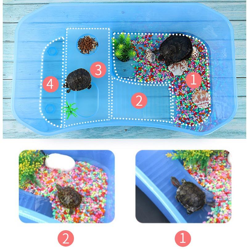 Bể Nuôi Rùa - Nuôi cá ếch thằn lằn chuột đều được - Size Lớn & Cực Lớn