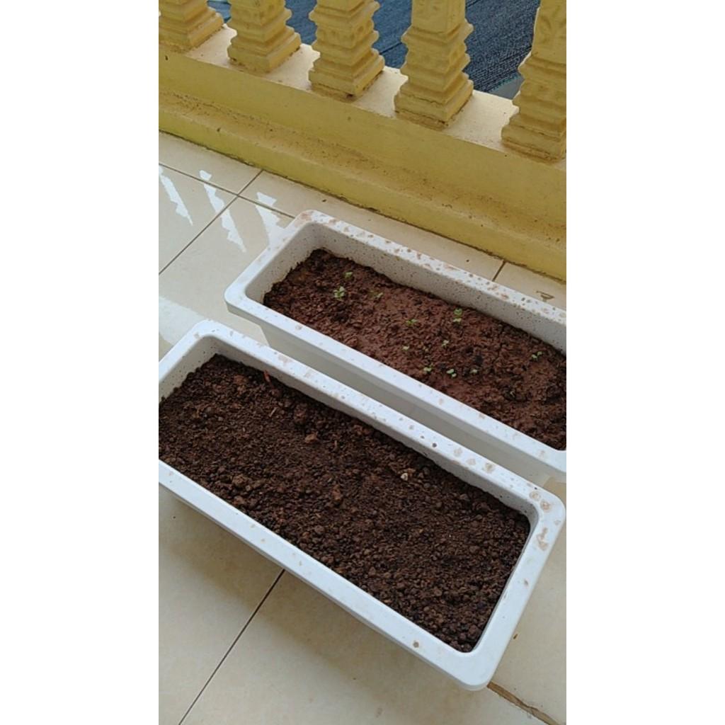 1000gr Đất Trồng Cây Trộn Sẵn Siêu Dưỡng