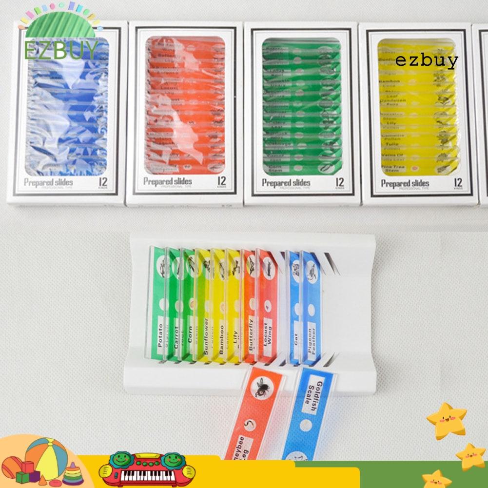 EY-12Pcs DIY Specimen Microscope Slides Children Biology Scientific Educational Toy