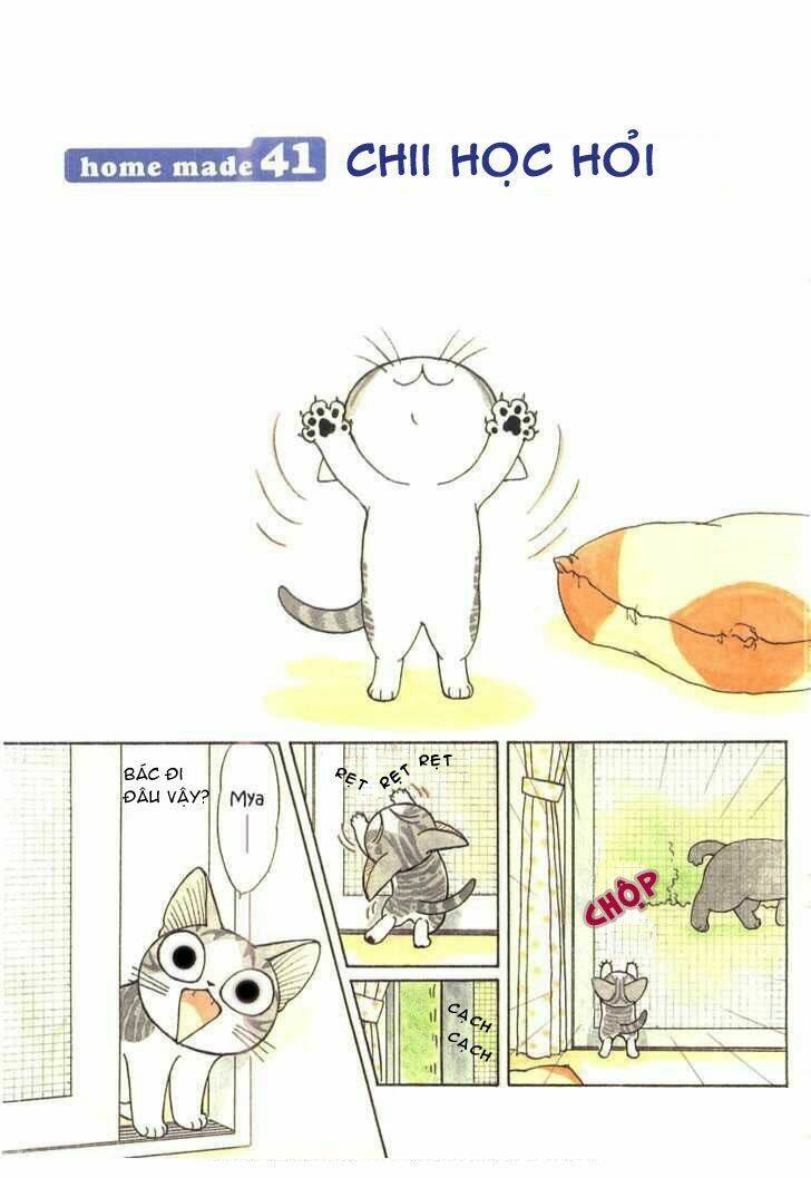 chi's sweet home chapter 41 1