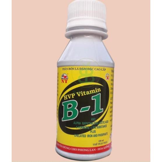 Phân Bón Lá Vitamin B1 Chuyên Cho Phong Lan 100ml