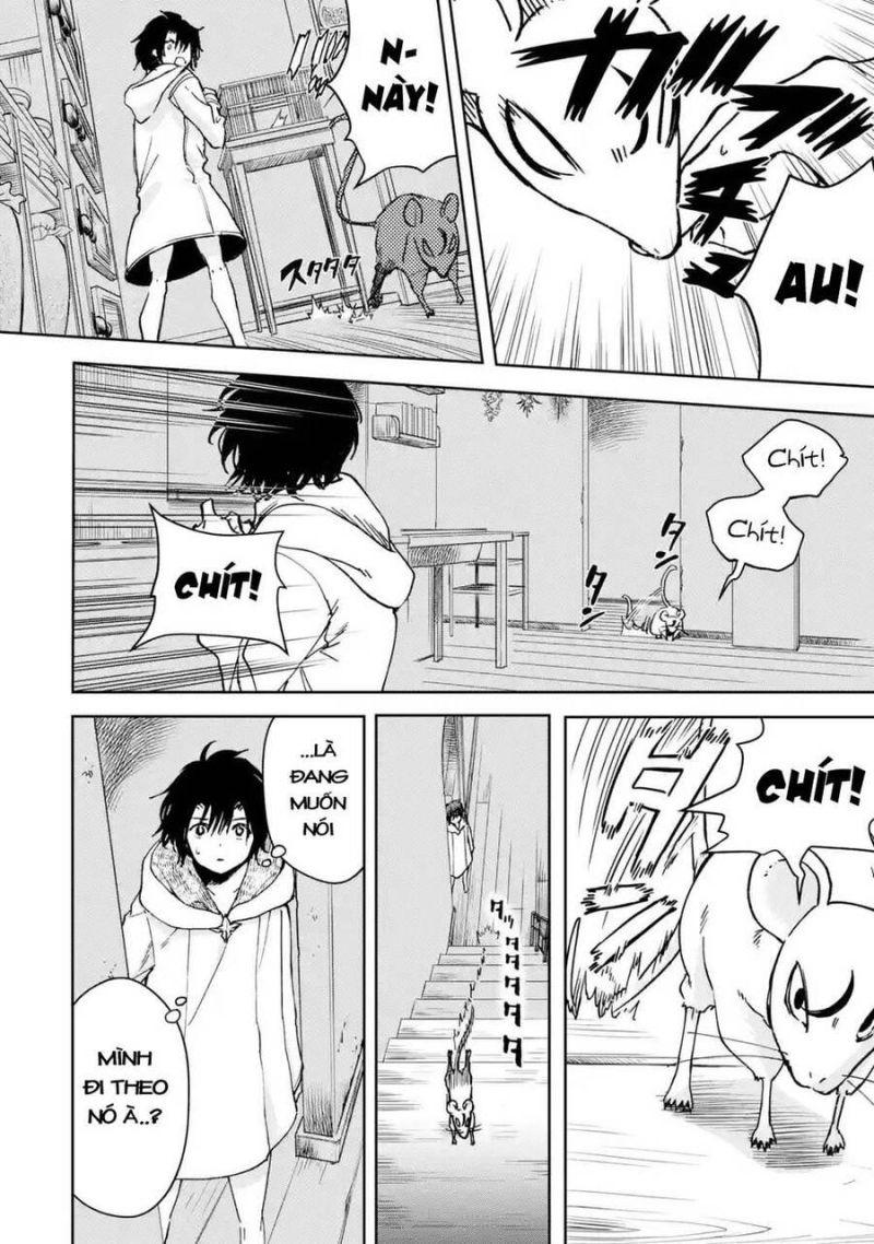 i'm a middle-aged man who got my adventurer license revoked chapter 33 12