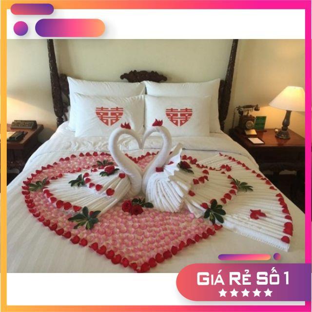 Bộ drap cotton cvc trắng sọc 1m6 + 2 khăn tắm cao cấp 60x120cm