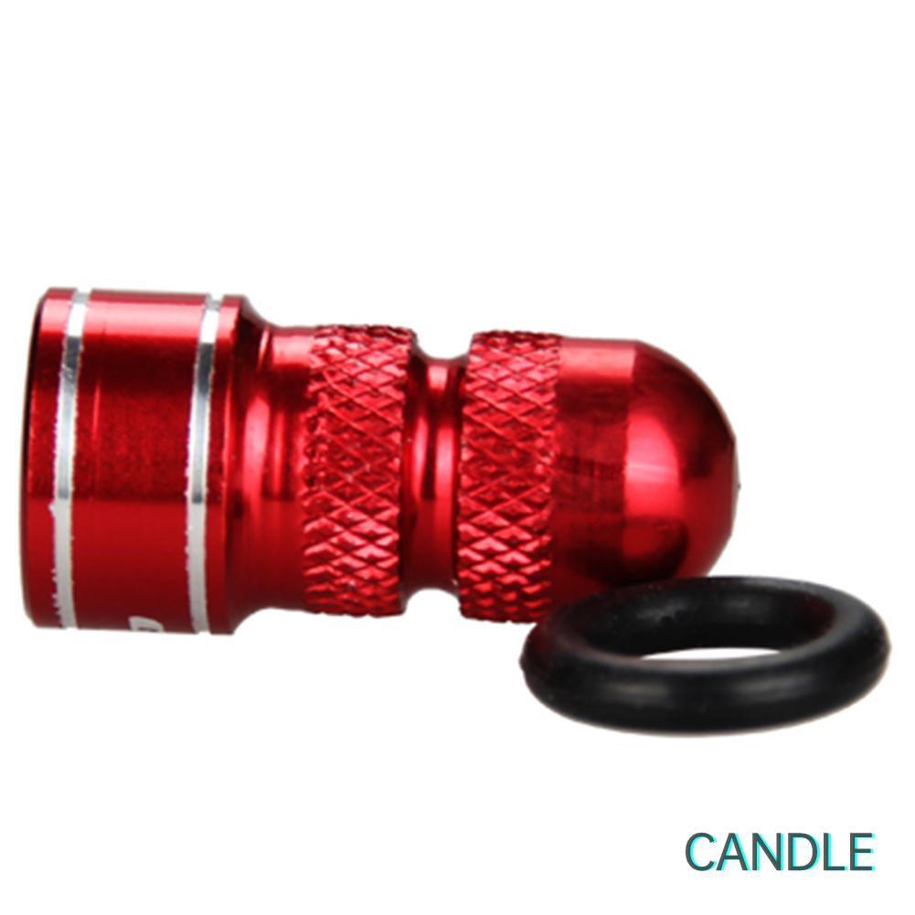 2 Nắp Van Bánh Xe Đạp Gub