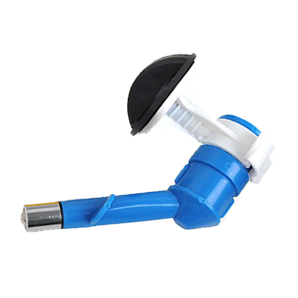 Bình Uống Nước