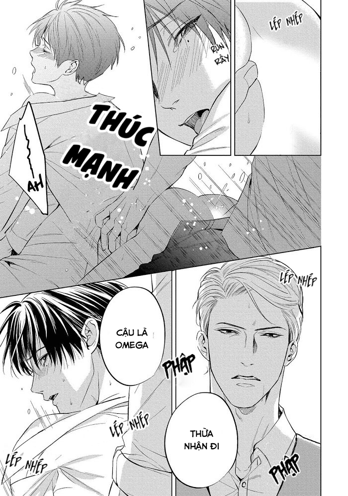 cô dâu của alpha chapter 3 11