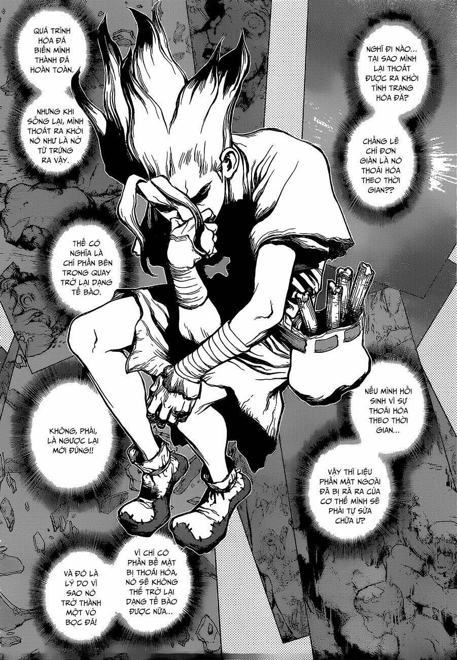 dr.stone - hồi sinh thế giới chapter 14 7
