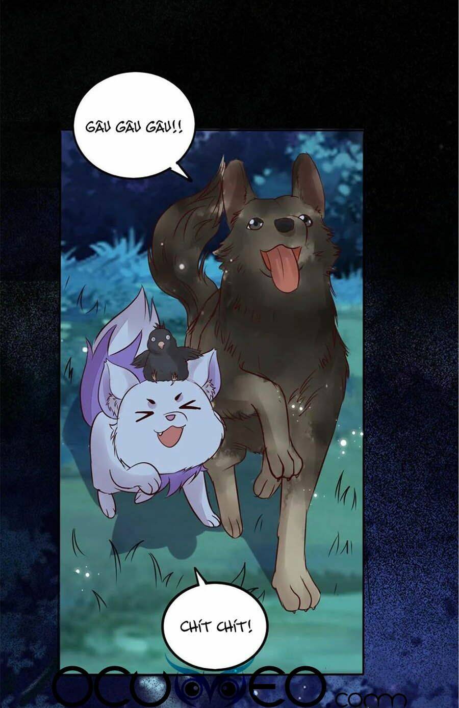 thần y khí nữ: ngự thú cuồng phi của quỷ đế chapter 96 6