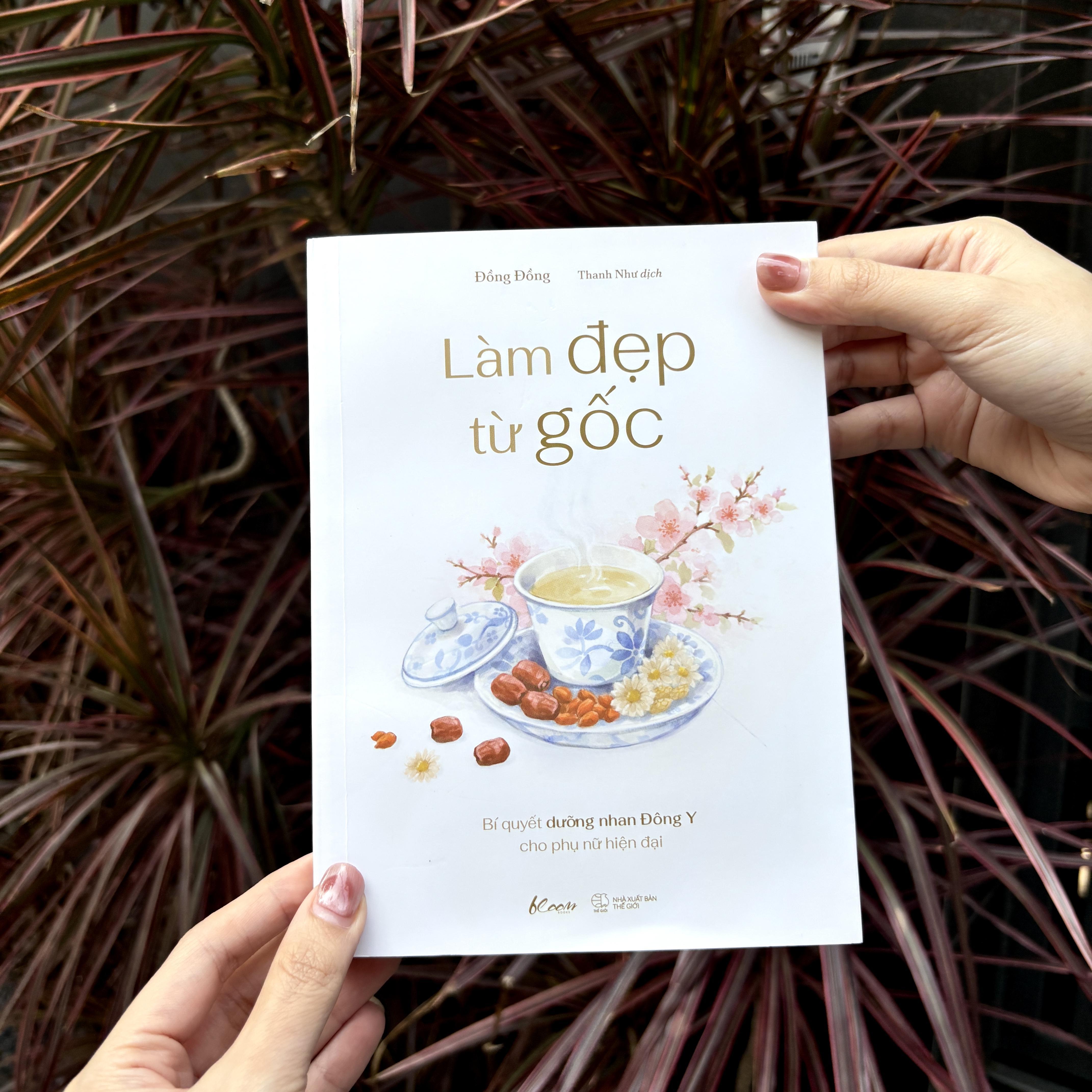 Sách - Làm Đẹp Từ Gốc - Bí Quyết Dưỡng Nhan Đông Y Cho Phụ Nữ Hiện Đại