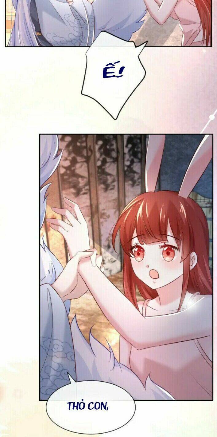 hắc hóa nam chính trực tuyến nuôi thỏ chapter 32 10