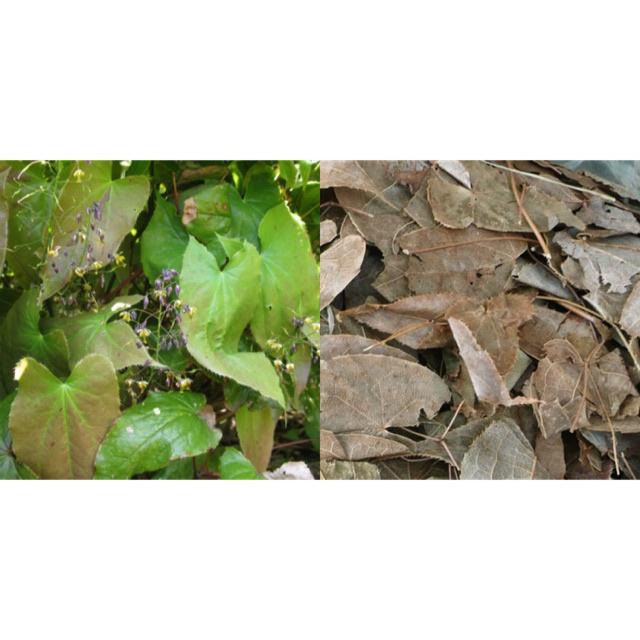 DÂM DƯƠNG HOẮC KHÔ 500g