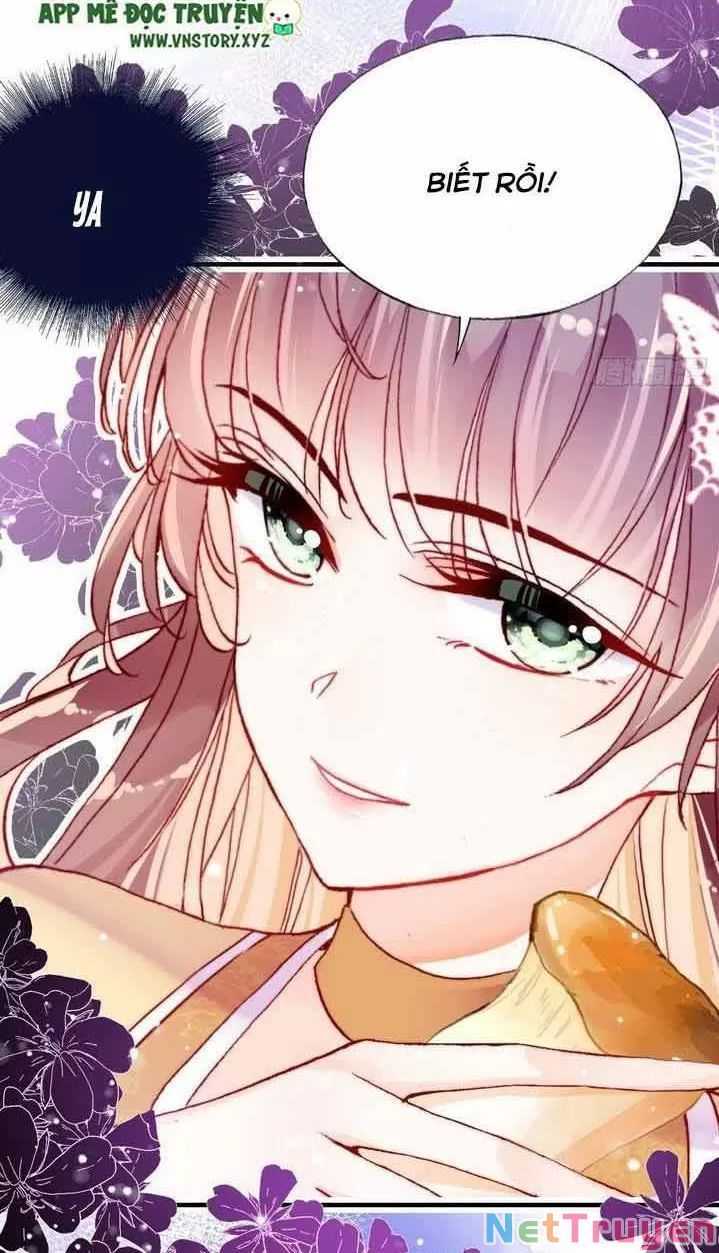 lại bị bệnh chiều chuộng quấn lấy chapter 7 34