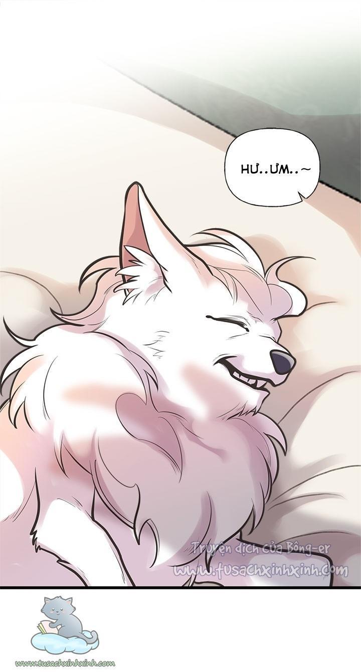 chị tôi nhặt về nam chính của tiểu thuyết chapter 54 2