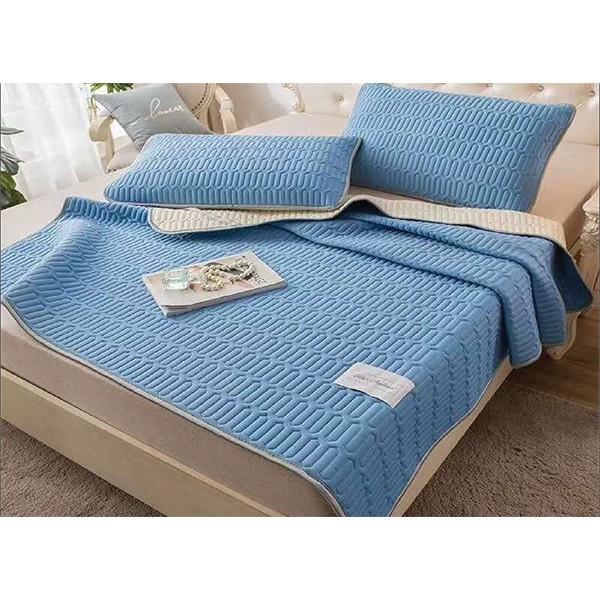 CHIẾU ĐIỀU HOÀ CAO SU NON ️FreeShip️ Chiếu TENCEL TẶNG KÈM 2 VỎ GỐI Dài 1m6-1m8-2m2 Rộng 2m