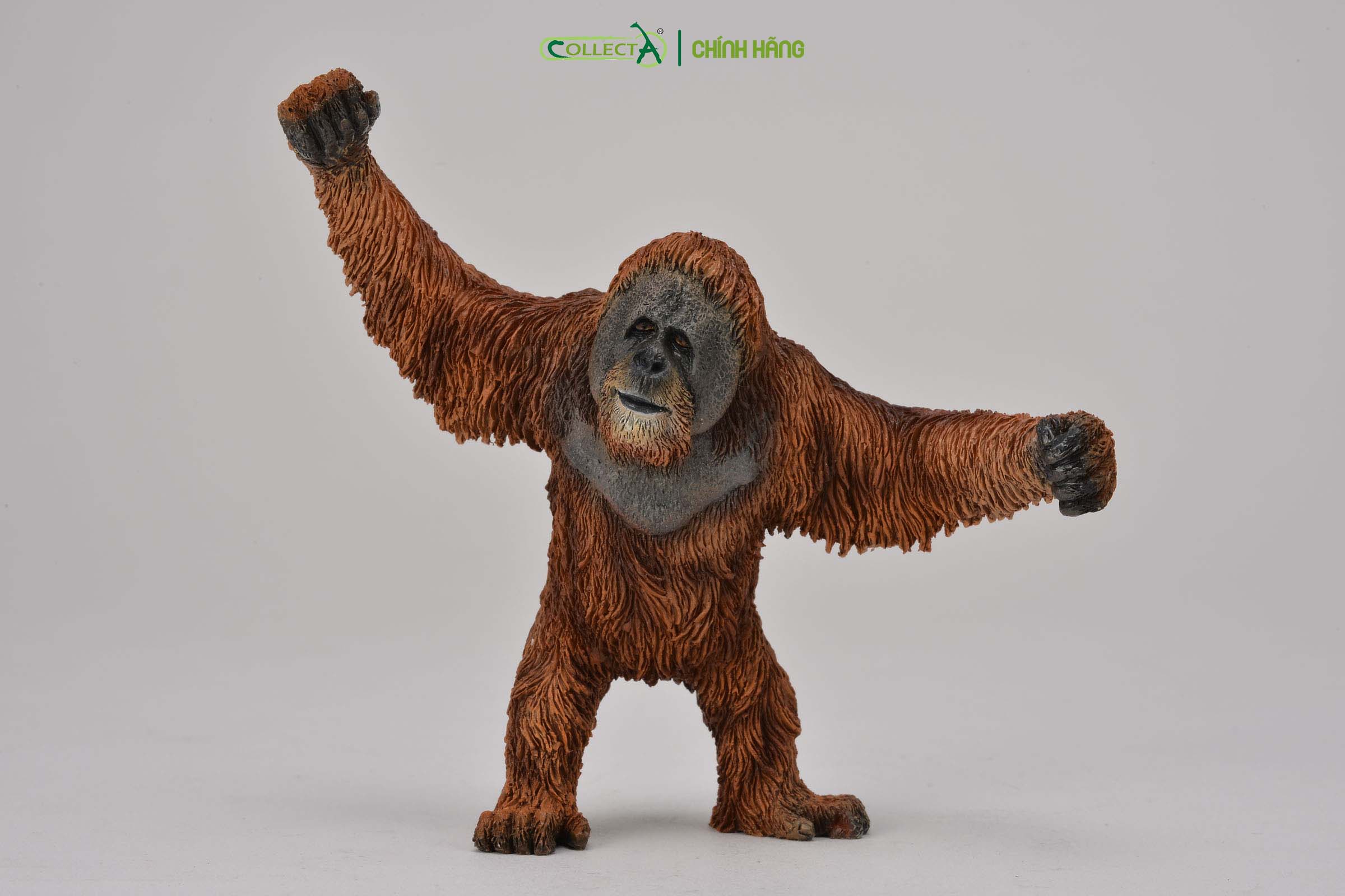 Đồ chơi mô hình động vật CollectA Đười Ươi - Orangutan