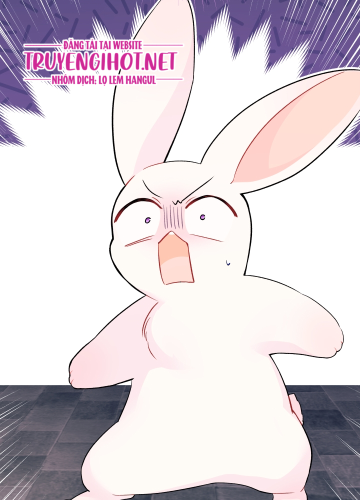 mối liên kết giữa báo đen và bé thỏ chapter 35 20