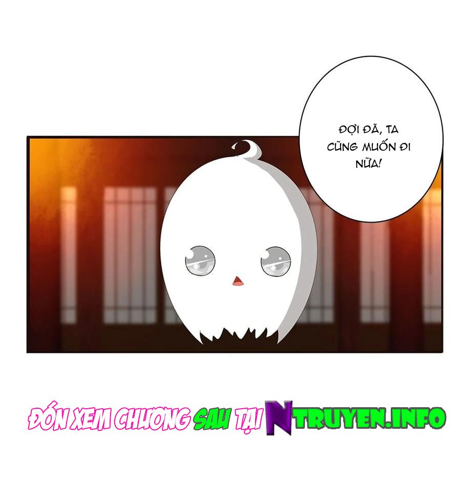 thông linh phi chapter 623 18