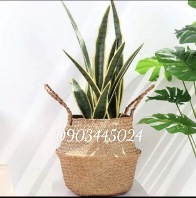 Giỏ Cói Trang Trí Rộng Miệng 25cm-Giỏ Cói