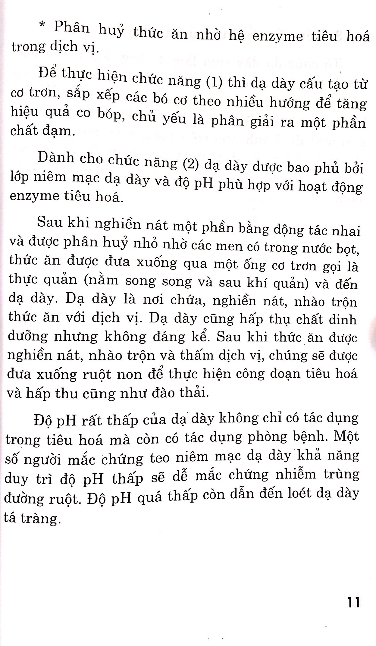 Bệnh Dạ Dày - Chế Độ Ăn Uống Và Luyện Tập