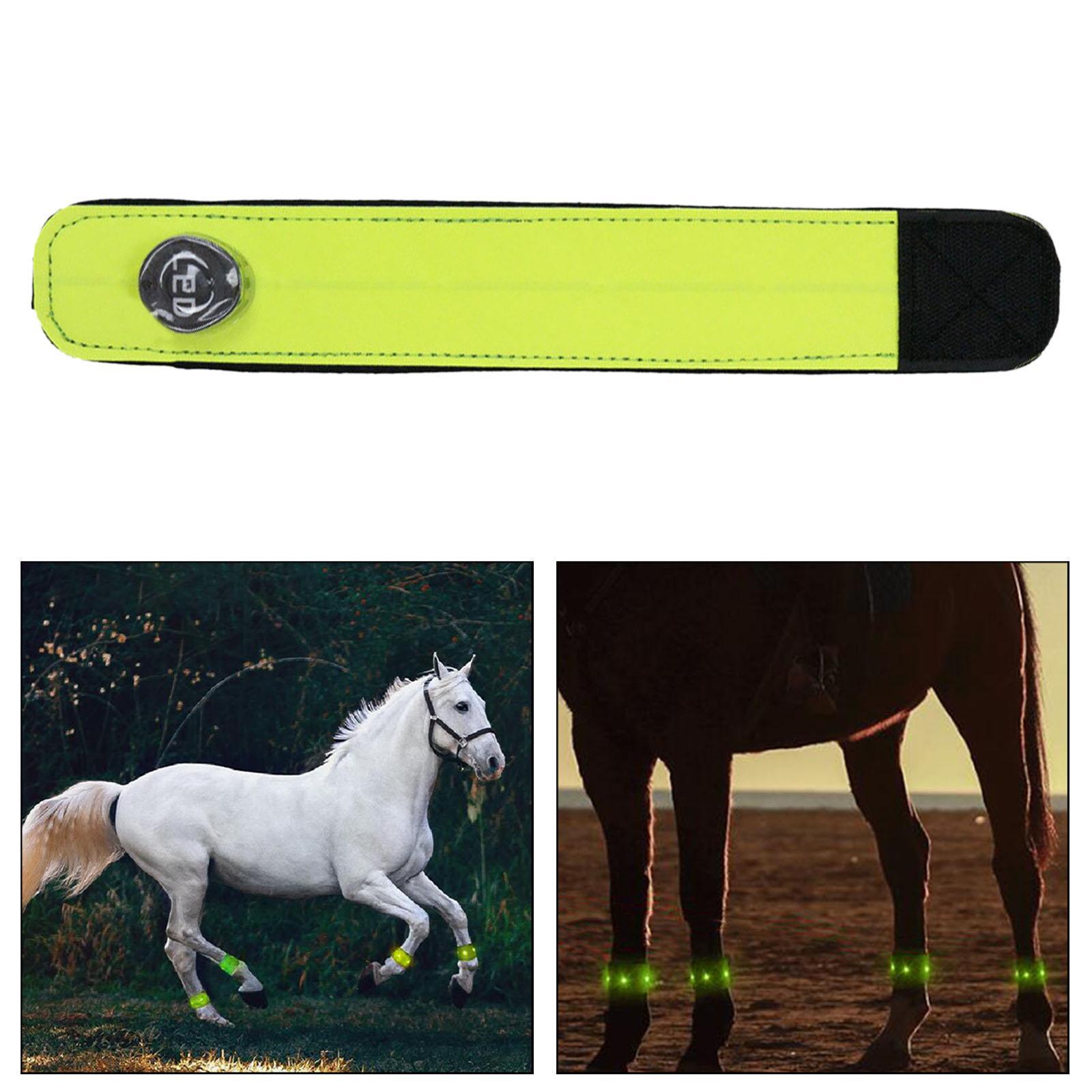 LED Horse Ankle Strap Legging Leg Belt for Jumping Running Night Riding