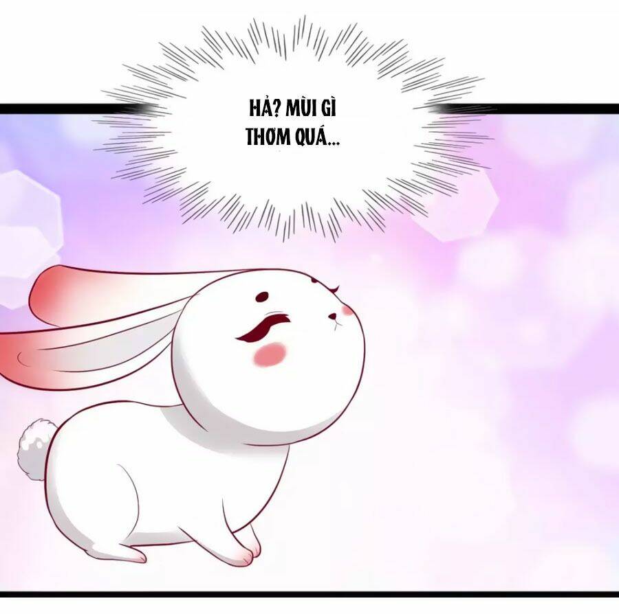 thỏ yêu tiểu vương phi chapter 49 26